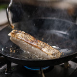 Falkland Island Patagonian Toothfish