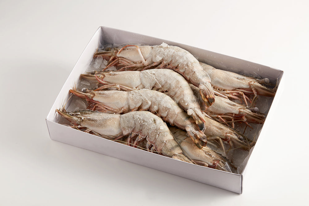 Vietnamese Frozen Jumbo Prawn 1kg